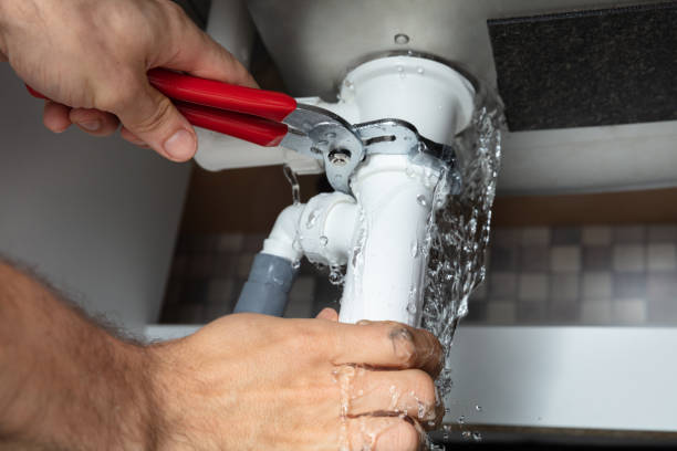 Best Fire Damage Restoration  in Nisswa, MN