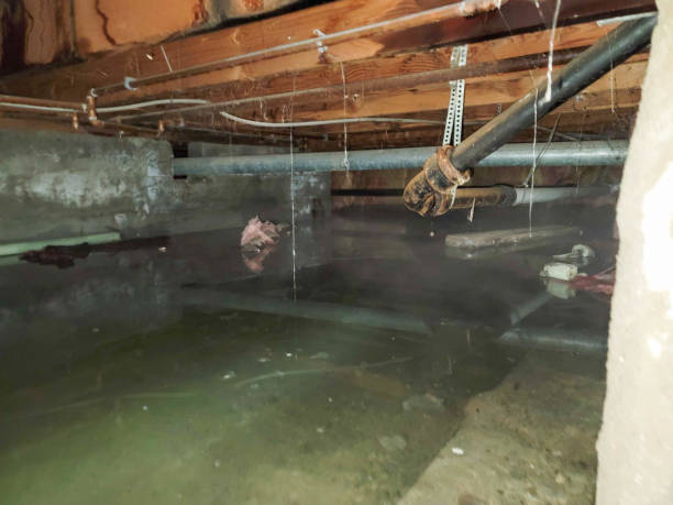 Best Residential water damage restoration  in Nisswa, MN