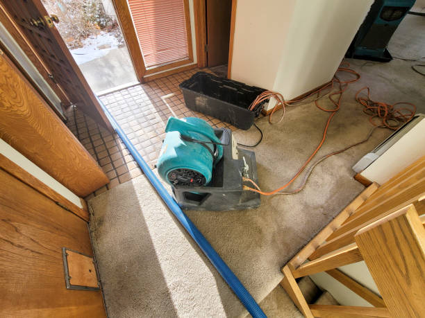 Best Water damage contractors near me  in Nisswa, MN