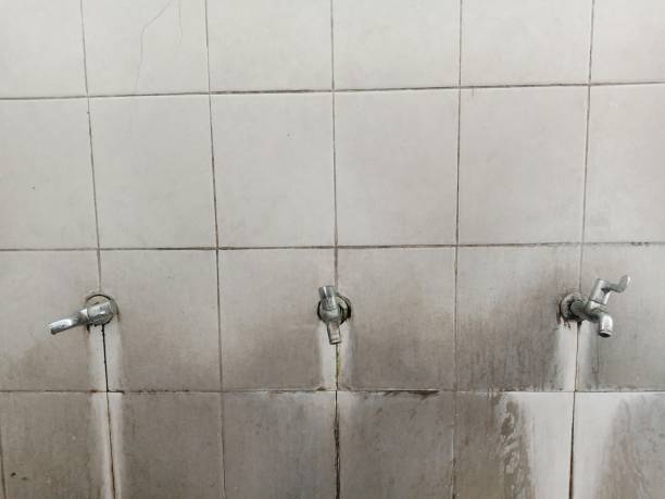 Best Flood restoration services  in Nisswa, MN