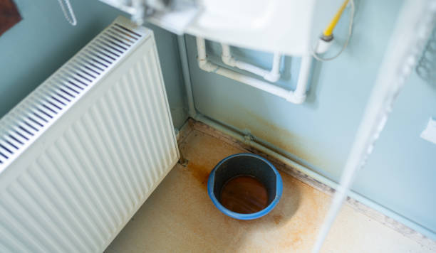 Best Local water damage restoration  in Nisswa, MN