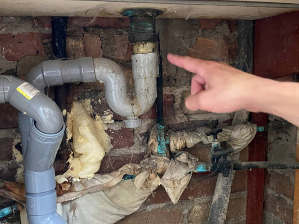 Best Carpet water damage restoration  in Nisswa, MN