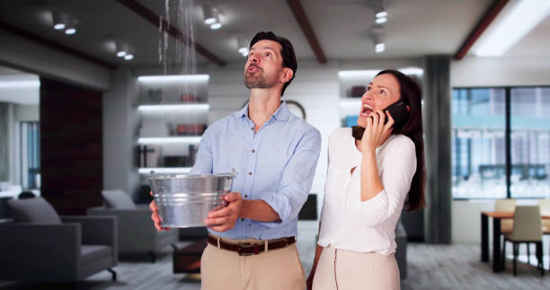 Best Water damage restoration near me  in Nisswa, MN
