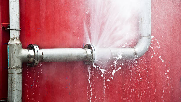 Best Flood damage cleanup  in Nisswa, MN