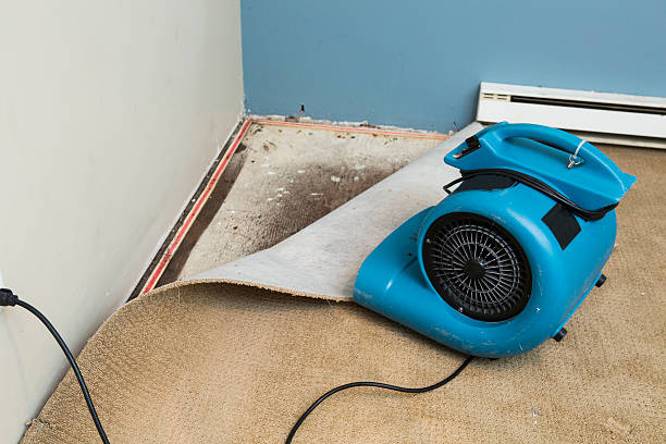 Best Water damage restoration process  in Nisswa, MN